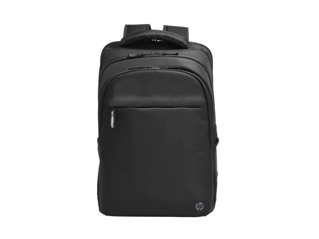 HP Professional 17.3-inch Laptop Backpack (500S6AA)