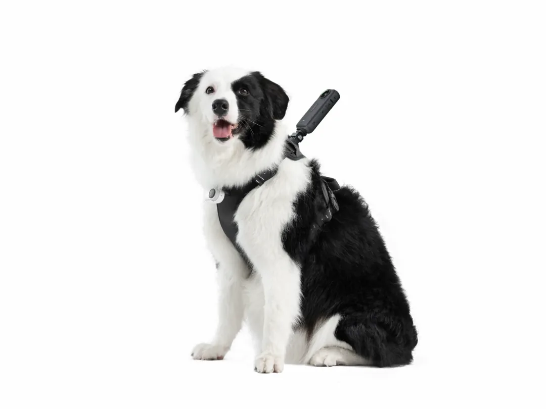 Insta360 Pet Harness Mount Size L - Designed for large dogs - Dog POV Harness Camera Mount